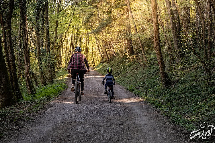 برای روز پدر چه کنیم؟ ده پیشنهاد ساده و دوست‌داشتنی